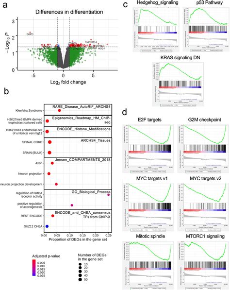 differences  gene expression  differentiation  ehmtwt