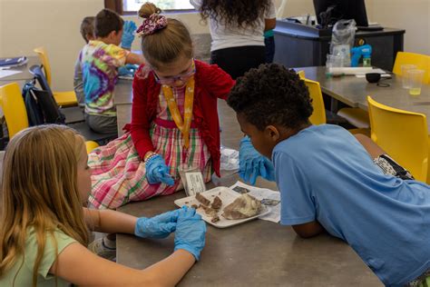 HEALTHCARE HEROES CAMP | High Sierra AHEC