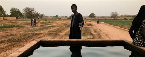 Ecosystem-Based Adaptation in the Gambia | UNEP - UN Environment Programme