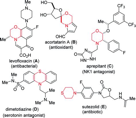 Examples Of Bioactive 14 Oxazine And Thiazine Derivatives Download Scientific Diagram