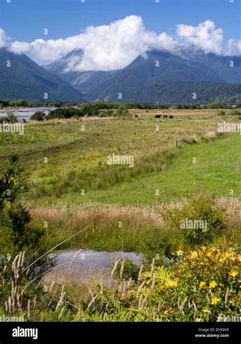 Wanganui river hi-res stock photography and images - Alamy