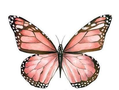 Light Pink Butterfly Sticker By Emmagsheehan Artofit