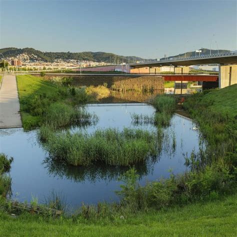 Soluciones Basadas En La Naturaleza Nbs Naturalea