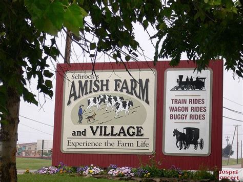 Amish in Ohio