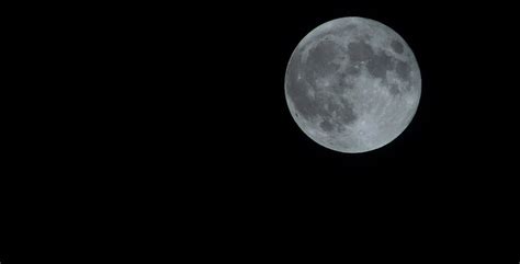photo moon night black full full moon  image  pixabay