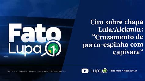 Ciro Sobre Chapa Lula Alckmin Cruzamento De Porco Espinho