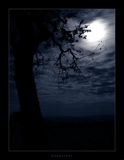 moonlight shadow by fourthly on DeviantArt