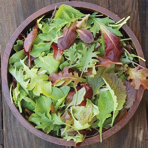 Mesclun Mix Lettuce Seeds Spring Mix Salad Greens Arugula Etsy