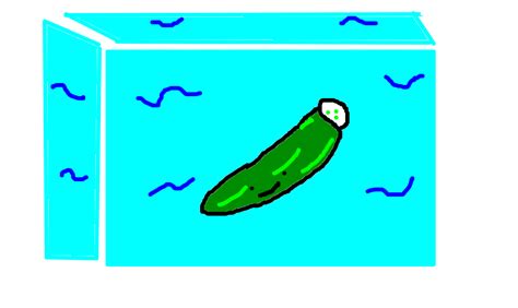 Pepino Do Mar Desenho De Vsopheeboplfnfl Gartic