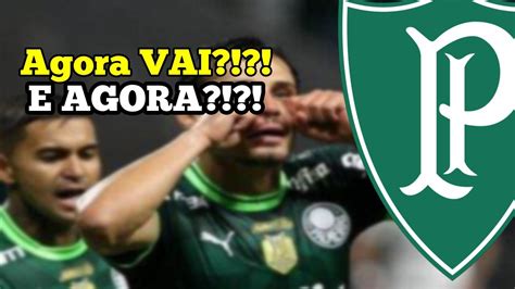 Novidade Ltimo Jogo Entre Palmeiras E Goi S Teve Reden O De Veiga