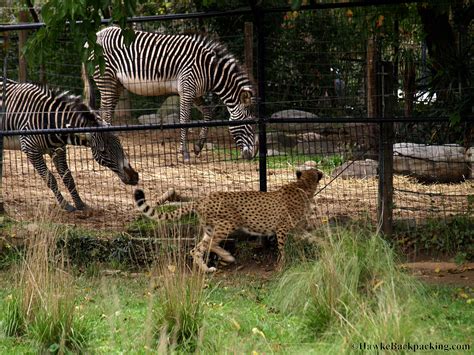 Smithsonian National Zoo - HawkeBackpacking.com