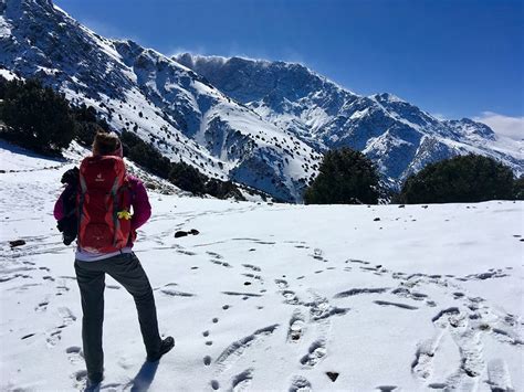 Trekking the Atlas Mountains: A Guide to Hiking Mount Toubkal ...