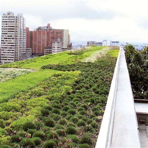 Système pour toiture végétalisée pour toiture plate URBAN CLIMATE