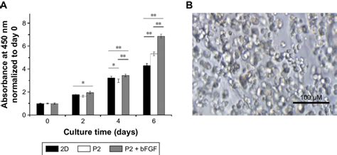 Effect Of Hydrogel Released Bfgf On Nih T Cell Proliferation Notes