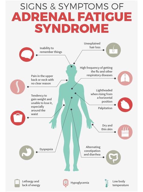 Signs Of Adrenal Fatigue Mississauga And Oakville Chiropractor And