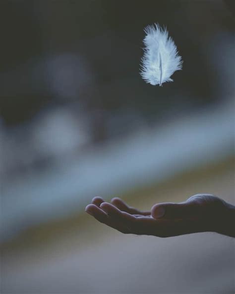 Feather Meaning And Spiritual Symbolism The Ultimate Guide