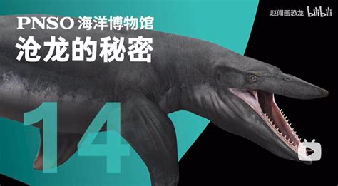 PNSO Hainosaurus! "Andre The Hainosaurus" Credit to pnso.official ZHAO Chuang and YANG Yang ...