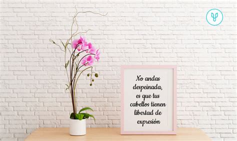 Descubrir Imagen Frases Est Tica Y Salud Viaterra Mx