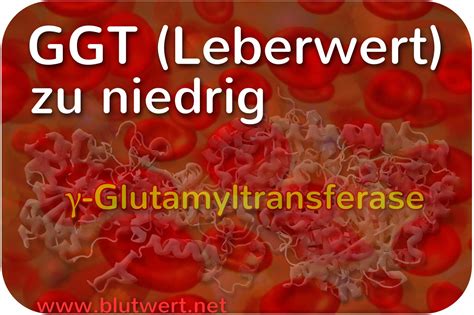 Ggt Wert Gamma Gt γ Gt Einfach Erklärt