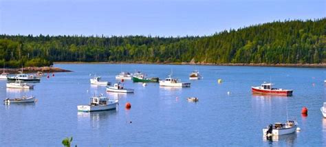 The Pier In Bucks Harbor In Machiasport Is The Best Place To Go To Snap