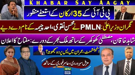 35 Pti Resignations Accepted Pmln Cm Nominees Miftah New Party