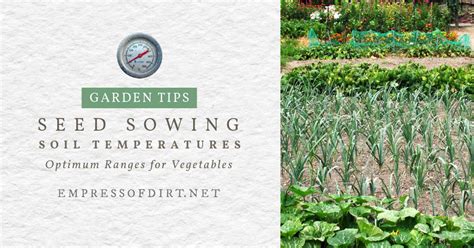 Best Soil Temperatures For Sowing Vegetable Seeds