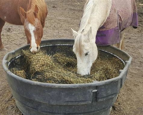 DIY Slow Feed Hay Feeders - Home