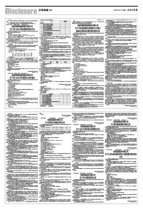 2024年04月11日 第95版：信息披露 上海证券报