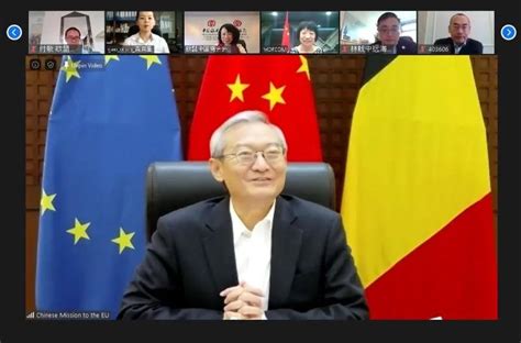 驻欧盟使团团长张明大使出席欧盟中国商会第一届全体会员大会并发表讲话