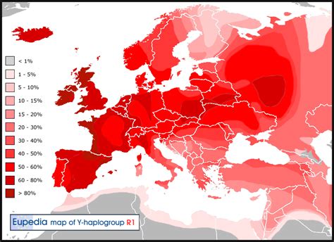 Dominant Y-DNA haplogroups in Europe and the Middle East - Vivid Maps