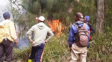 Hutan Gunung Lawu Terbakar Lahan Seluas 9 Hektare Dilahap Si Jago Merah