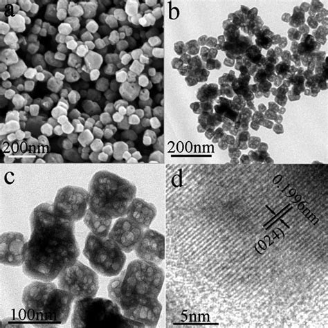 Sem And Tem Images Of Cdsno A An Sem Image B Lowmagnification