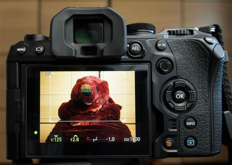 OM System OM-1 – Autofocus System Expert Guide — Thomas EislPhotographer