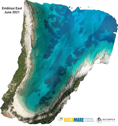 Using Aerial Drones To Map And Monitor Mediterranean Posidonia Seagrass Greece 2022 News