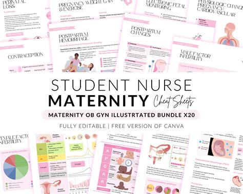 Doula Cheat Sheet Bundle X20 Maternity Ob Gyn Gynecology Cheat