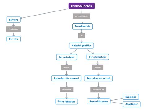 ReproducciÓn Mind Map