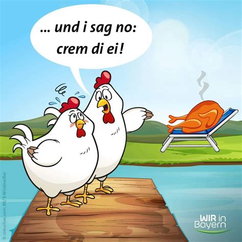 spruch sommer lustig lustige sprueche