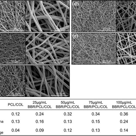 Scaffolds Morphology And Elemental Composition A Sem Images Of