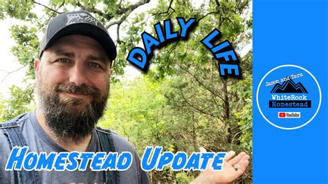 Homestead Update Tiny House Homesteading Vlog Cabin Build Diy How