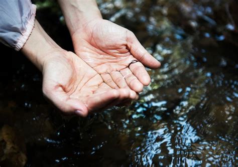 Consejos para el cuidado del agua Reflexiones en el día interamericano