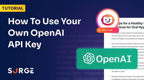 How To Use Your Own Openai Api Key Youtube