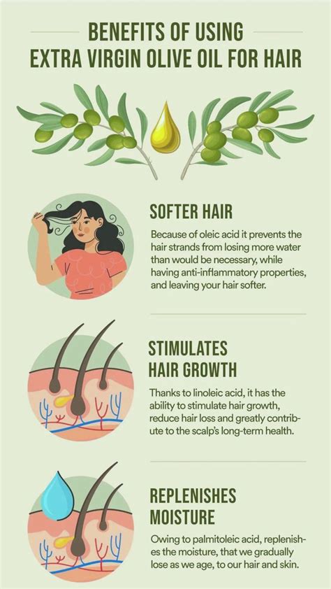 Olive oil benefits hair – Artofit