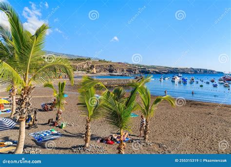 San Juan Beach Tenerife Nov 18 2015 Palm Trees On Tropical Beach