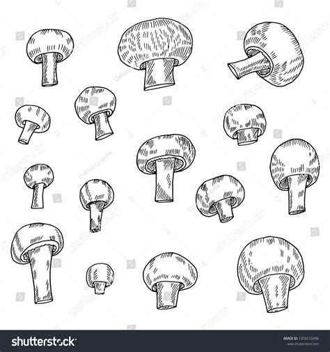 Hand Drawn Sketch Style Mushroomsvector Illustration Stock Vector