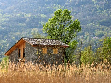 Riserva Naturale Pian Di Spagna E Lago Di Mezzola Galleria Fotografica