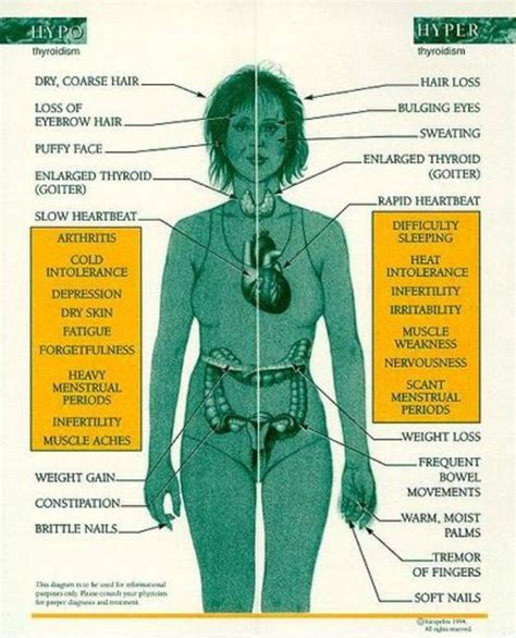 Hyper And Hypo Thyroidism Know The Difference Dont Forget To Share