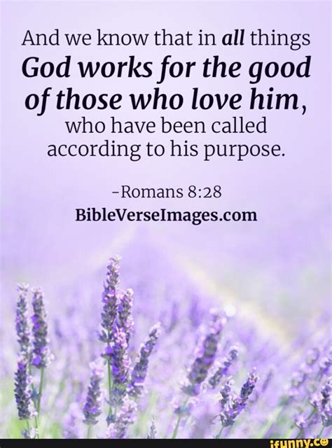 And We Know That In All Things God Works For The Good Of Those Who Love