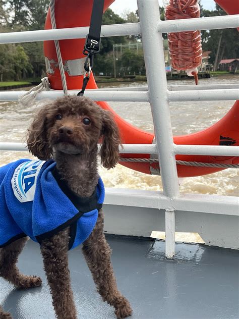 Sturla Viajes Paseos desde Tigre Paseo de los 3 Ríos PET FRIENDLY