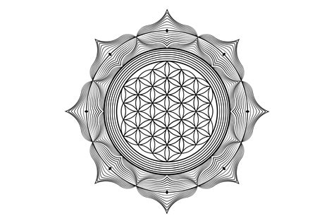 Sacred Lotus Yantra Mandala Mystical Flower Of Life Sacred Geometry