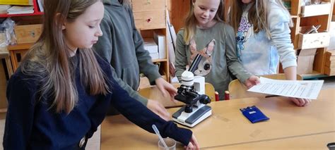 Schnuppertag In Der Naturpark Mittelschule Neumarkt Volksschule St